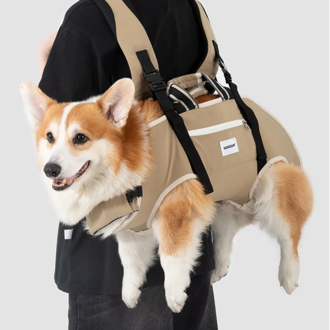 Main Gear