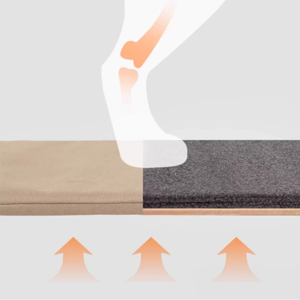 2-In-1 Pet Bike Carrier For Brompton