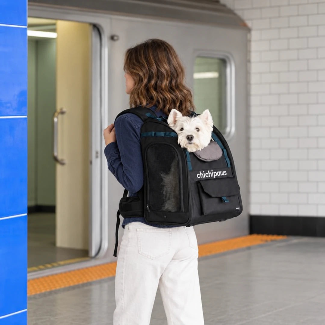 AirPace Support Pet Carrier Backpack