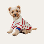 Preppy Stripe Dog Polo Sweater