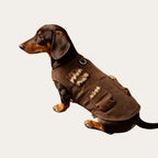 Brown Corduroy Dog Vest