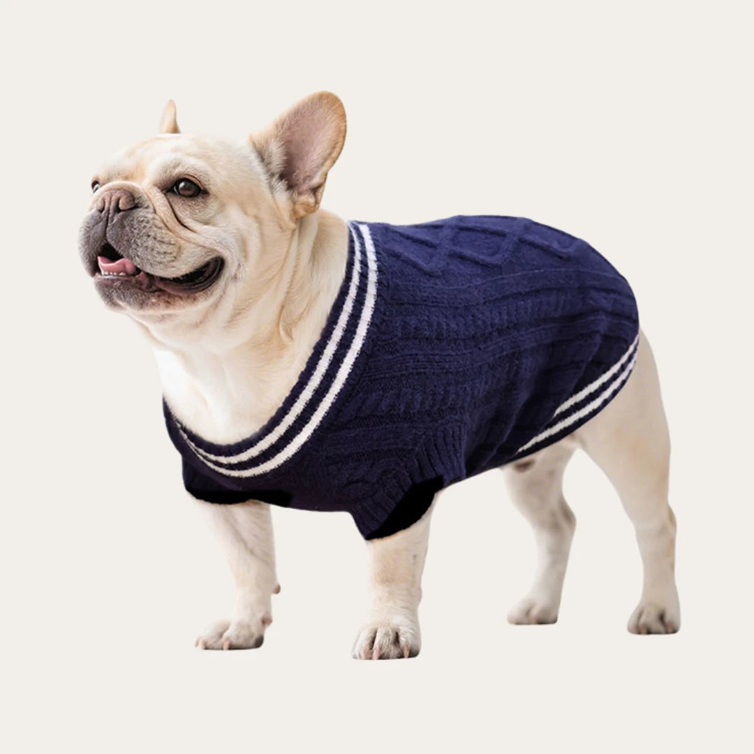 Varsity Knit Dog Vest