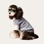 Blue Speckle Sweater Vest