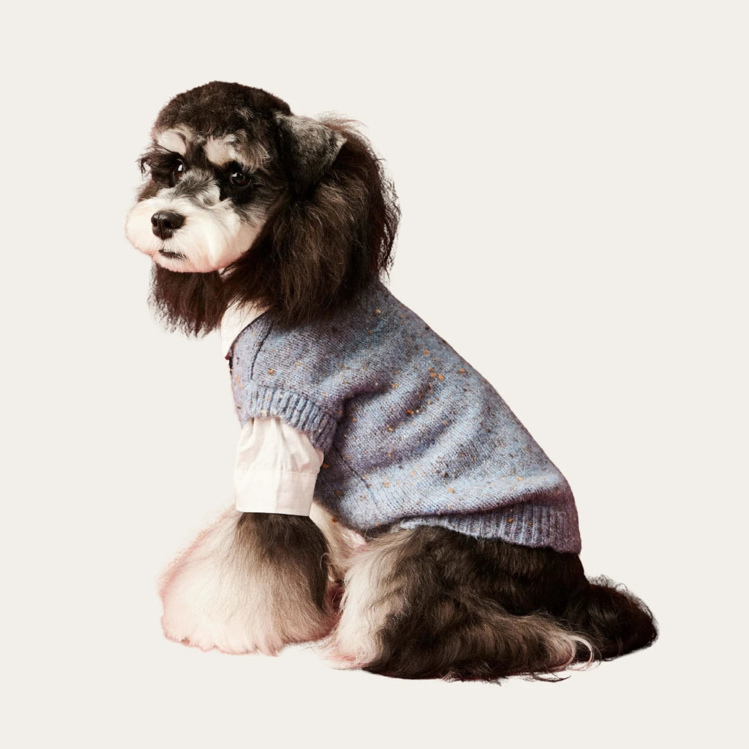 Blue Speckle Sweater Vest