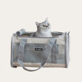 Fold-Flat Airline Pet Carrier