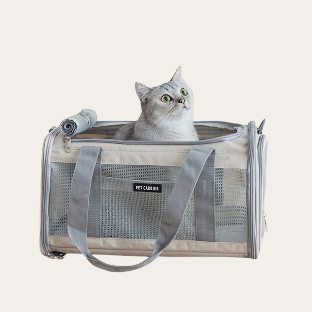 Fold-Flat Airline Pet Carrier