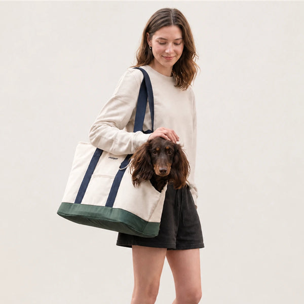CourtPace Canvas Pet Tote for Dachshunds & Small Dogs