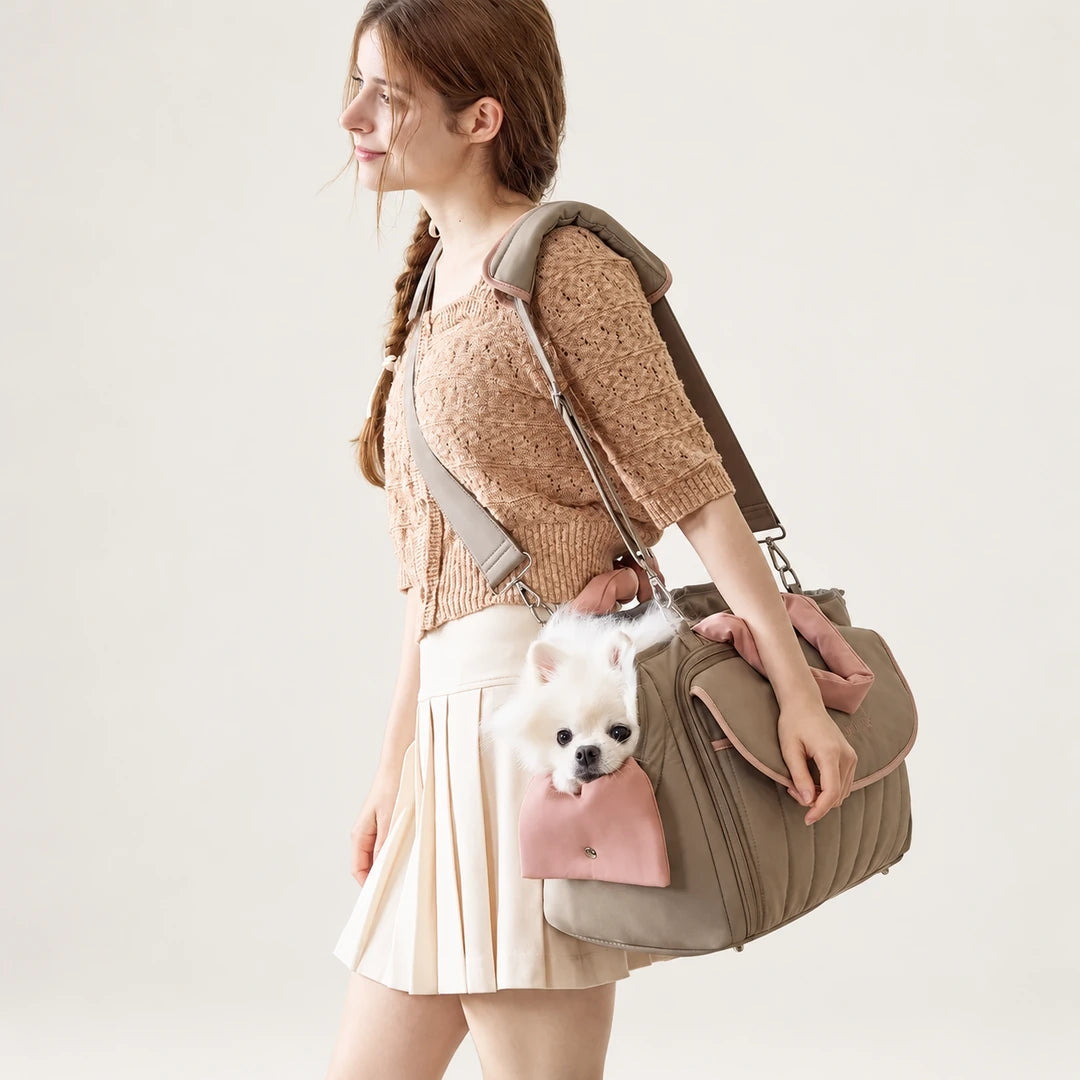 EasyGo 6-in-1 Pet Carrier Bag