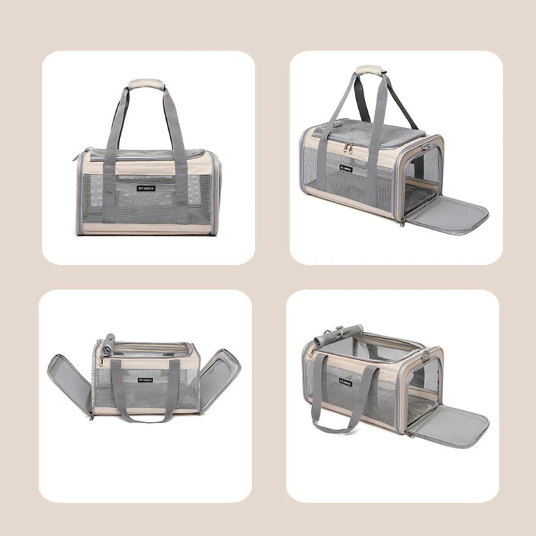 Fold-Flat Airline Pet Carrier