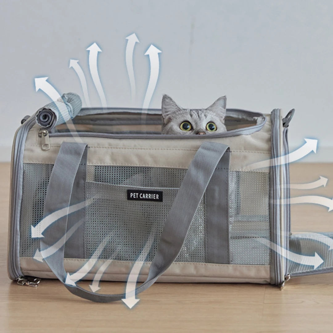 Fold-Flat Airline Pet Carrier