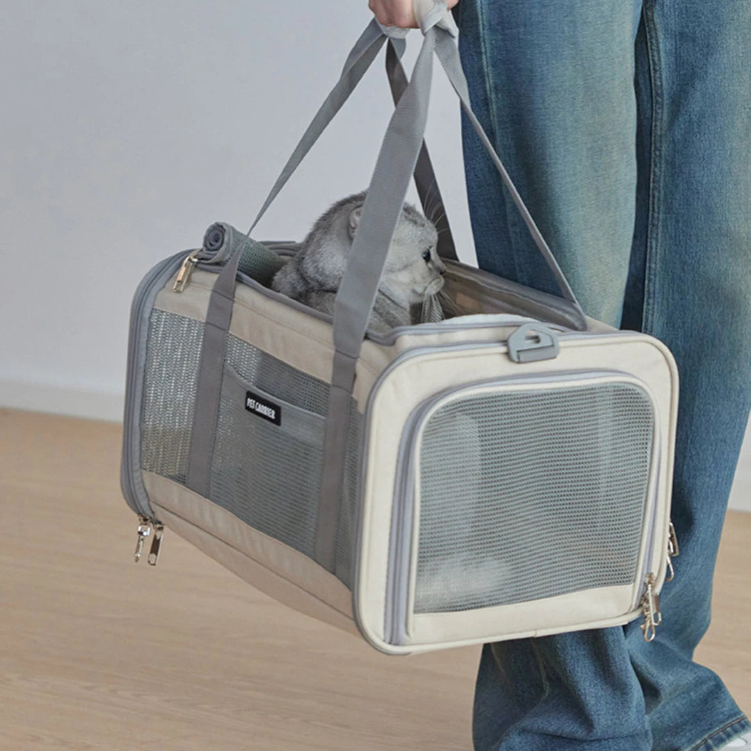 Fold-Flat Airline Pet Carrier