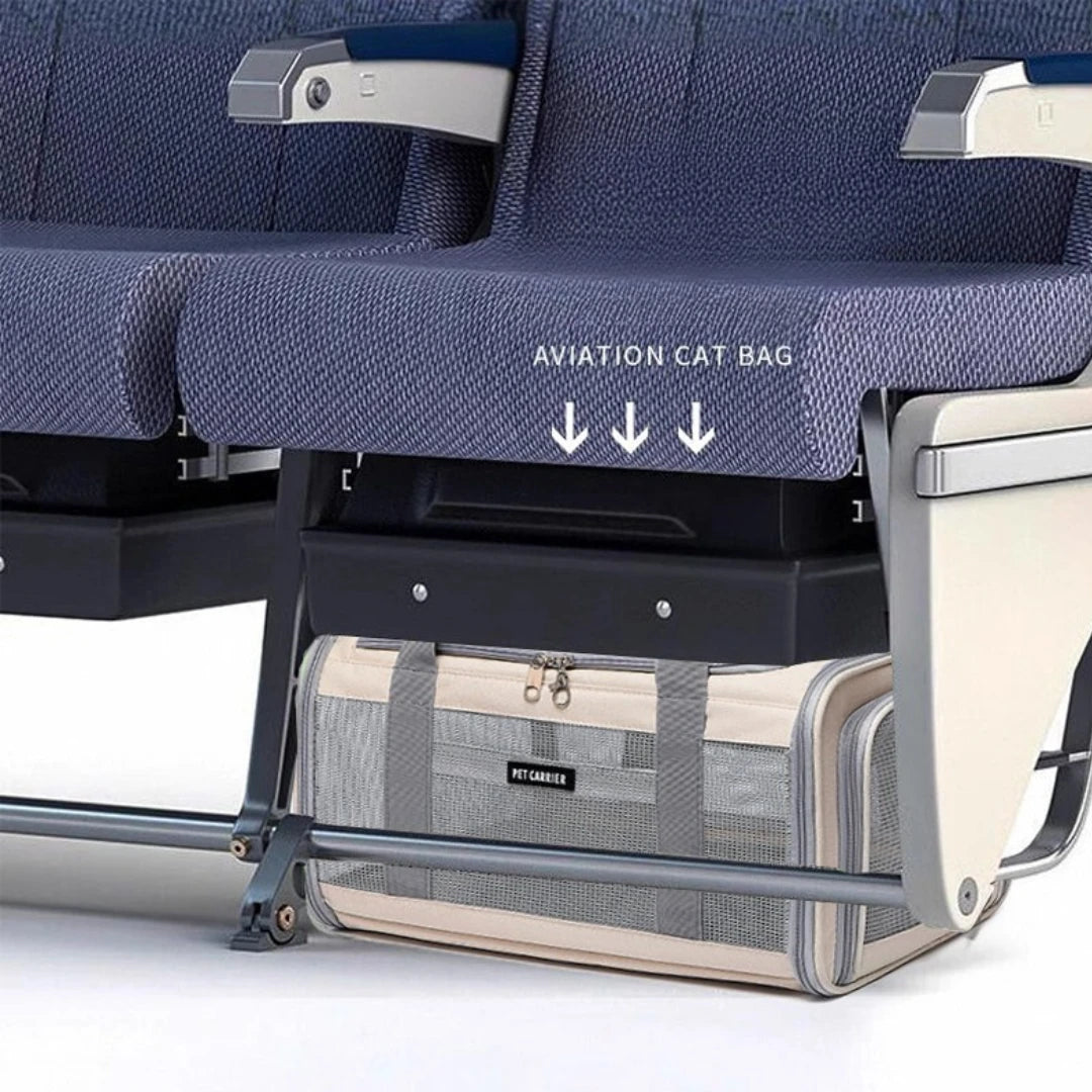 Fold-Flat Airline Pet Carrier