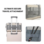 Fold-Flat Airline Pet Carrier
