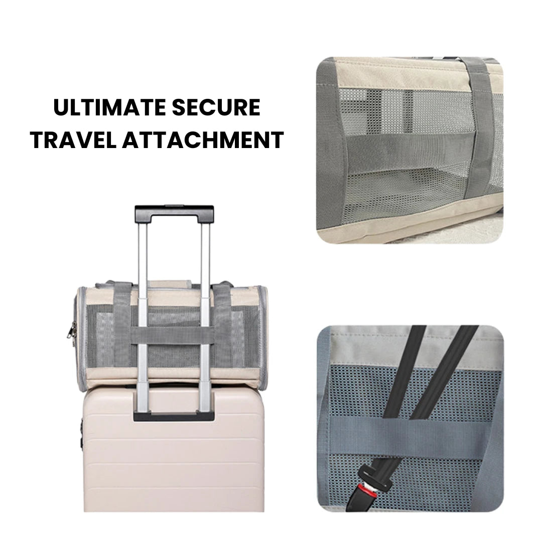 Fold-Flat Airline Pet Carrier
