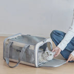 Fold-Flat Airline Pet Carrier