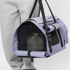 Airy Canopy Pet Travel Carrier
