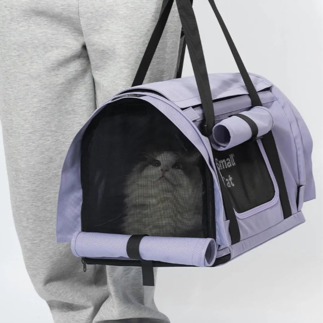 Airy Canopy Pet Travel Carrier