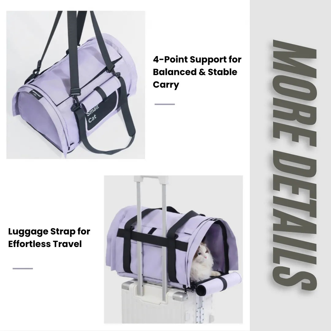 Airy Canopy Pet Travel Carrier