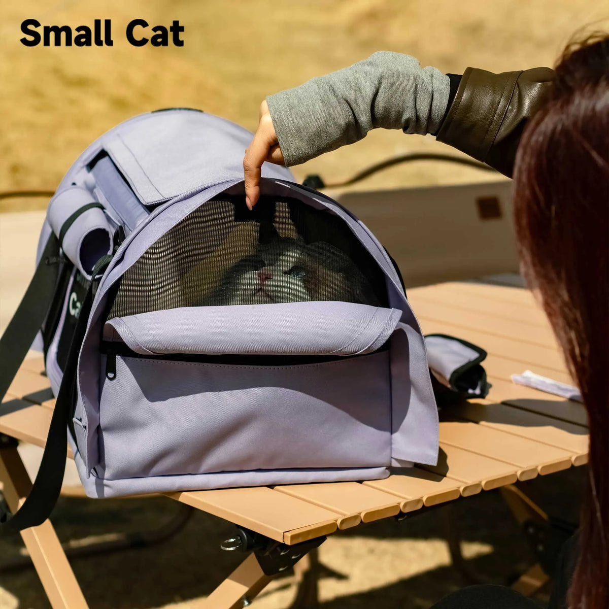 Airy Canopy Pet Travel Carrier