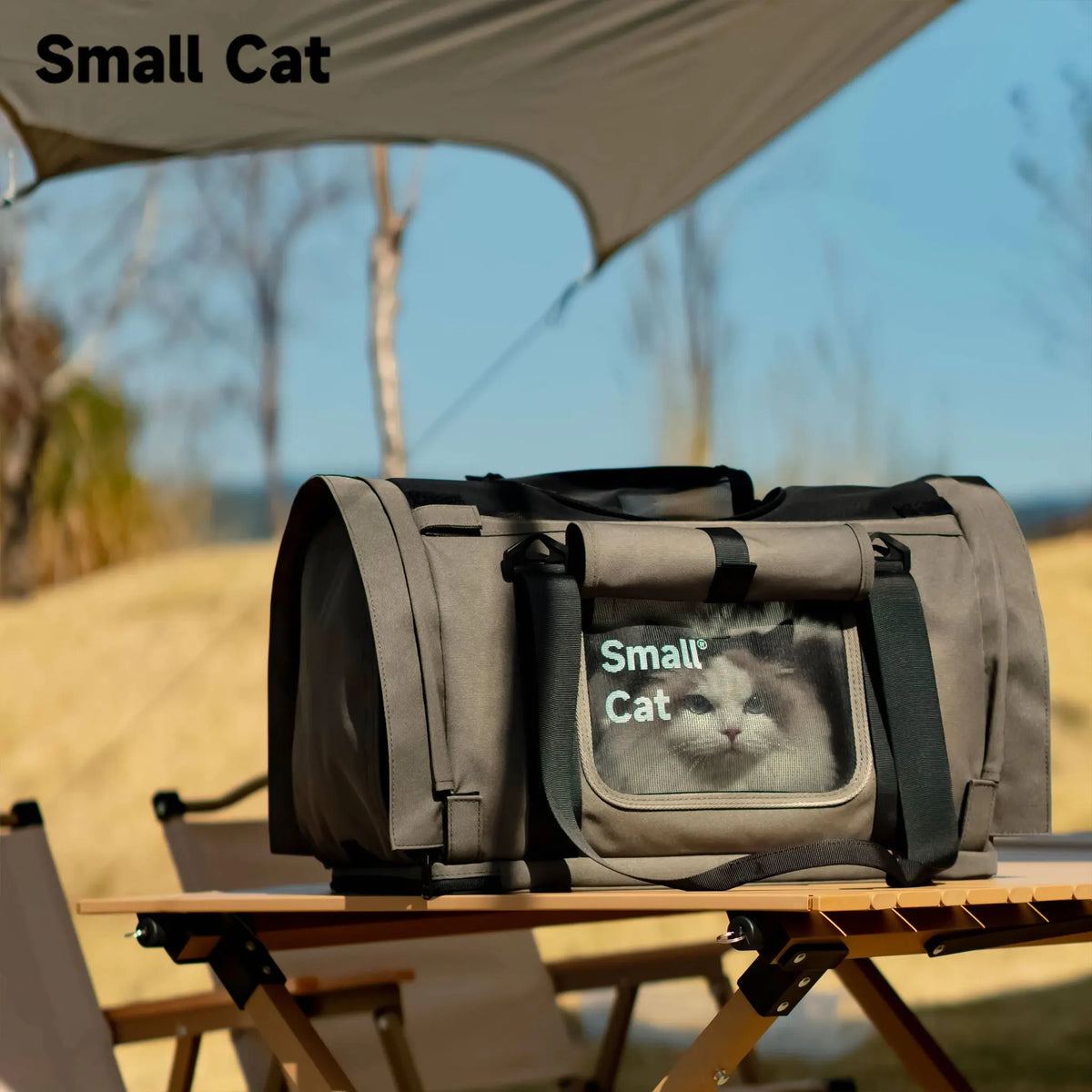 Airy Canopy Pet Travel Carrier