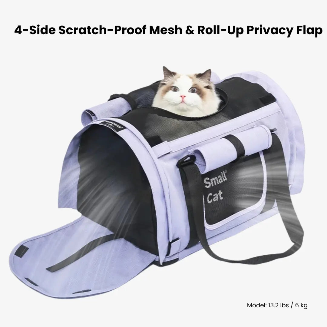 Airy Canopy Pet Travel Carrier