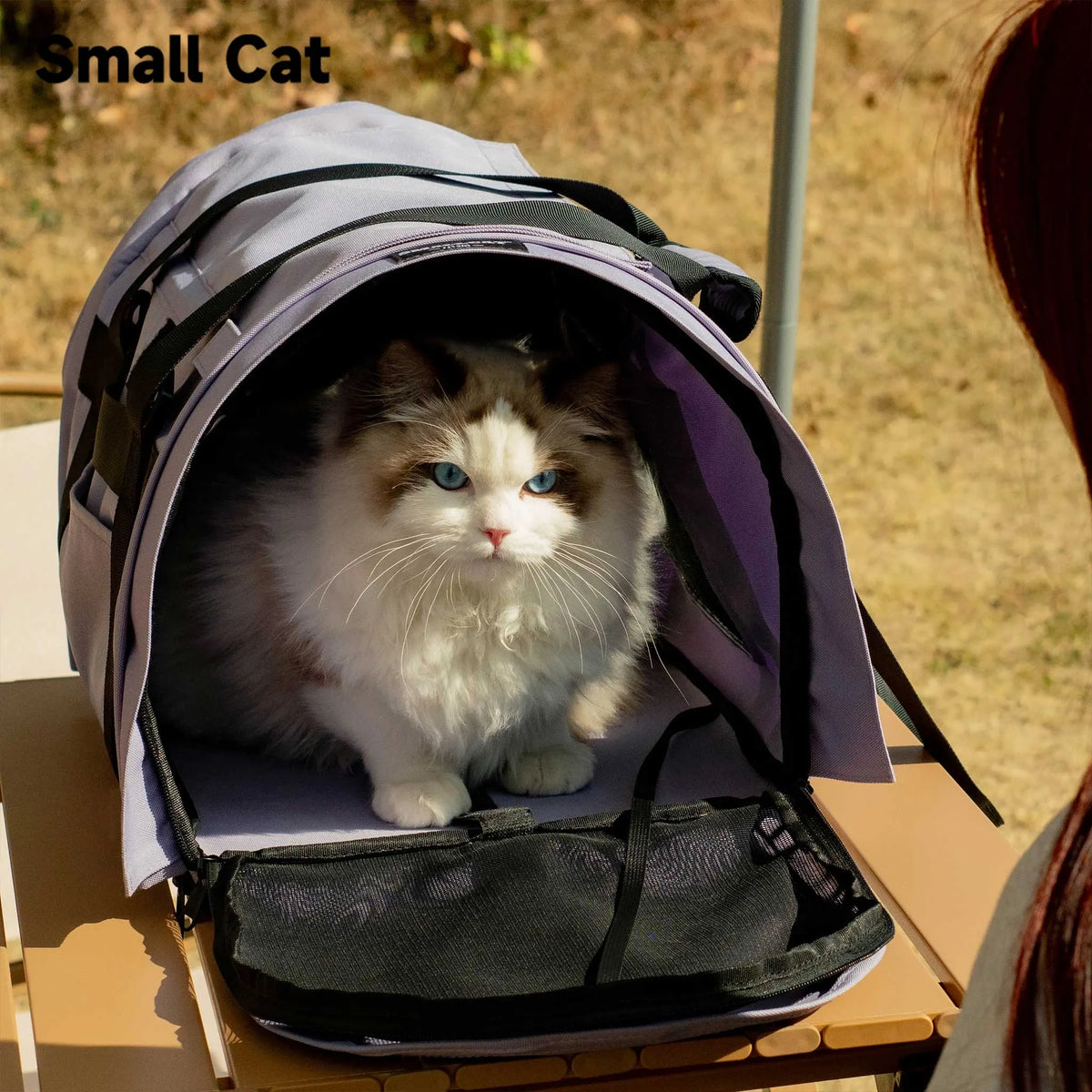 Airy Canopy Pet Travel Carrier