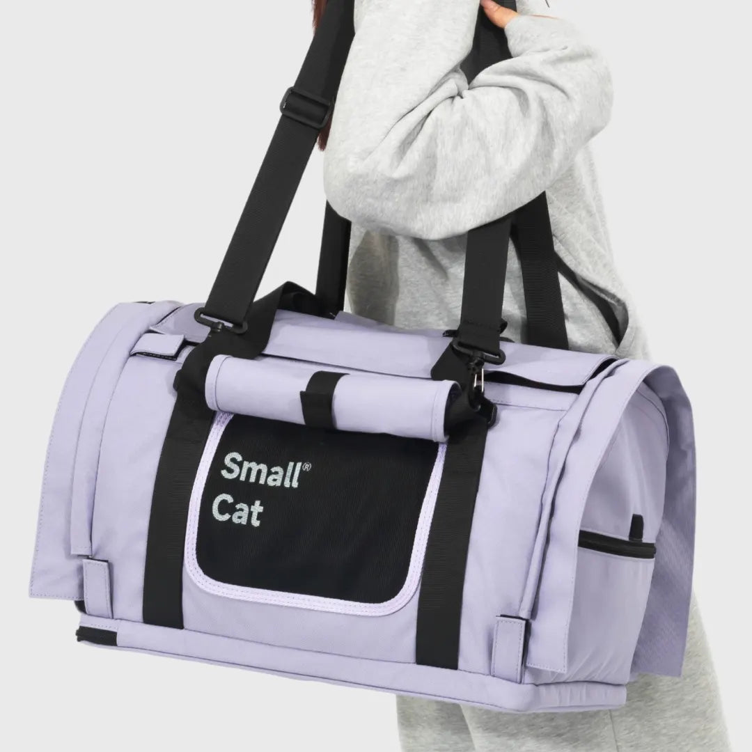 Airy Canopy Pet Travel Carrier