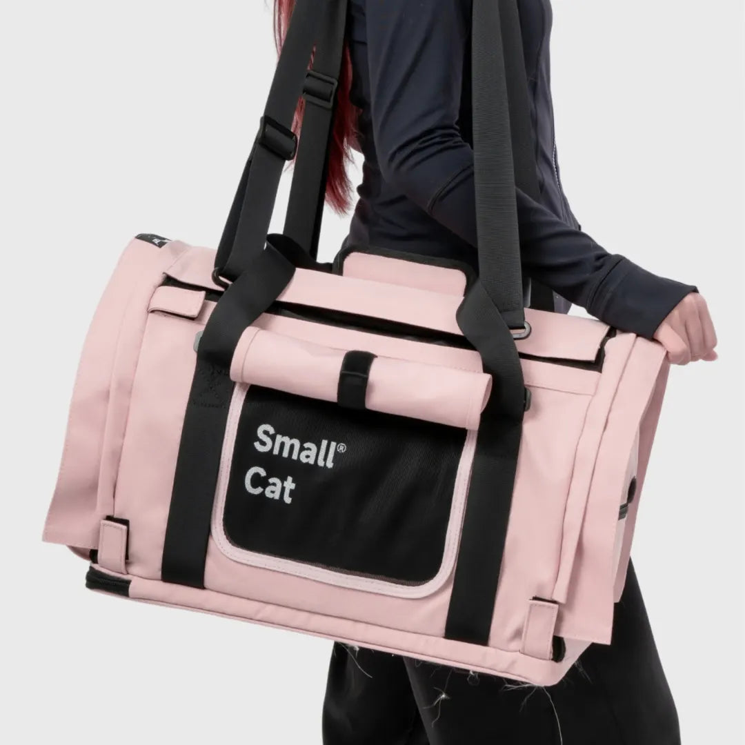 Airy Canopy Pet Travel Carrier