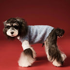 Blue Speckle Sweater Vest