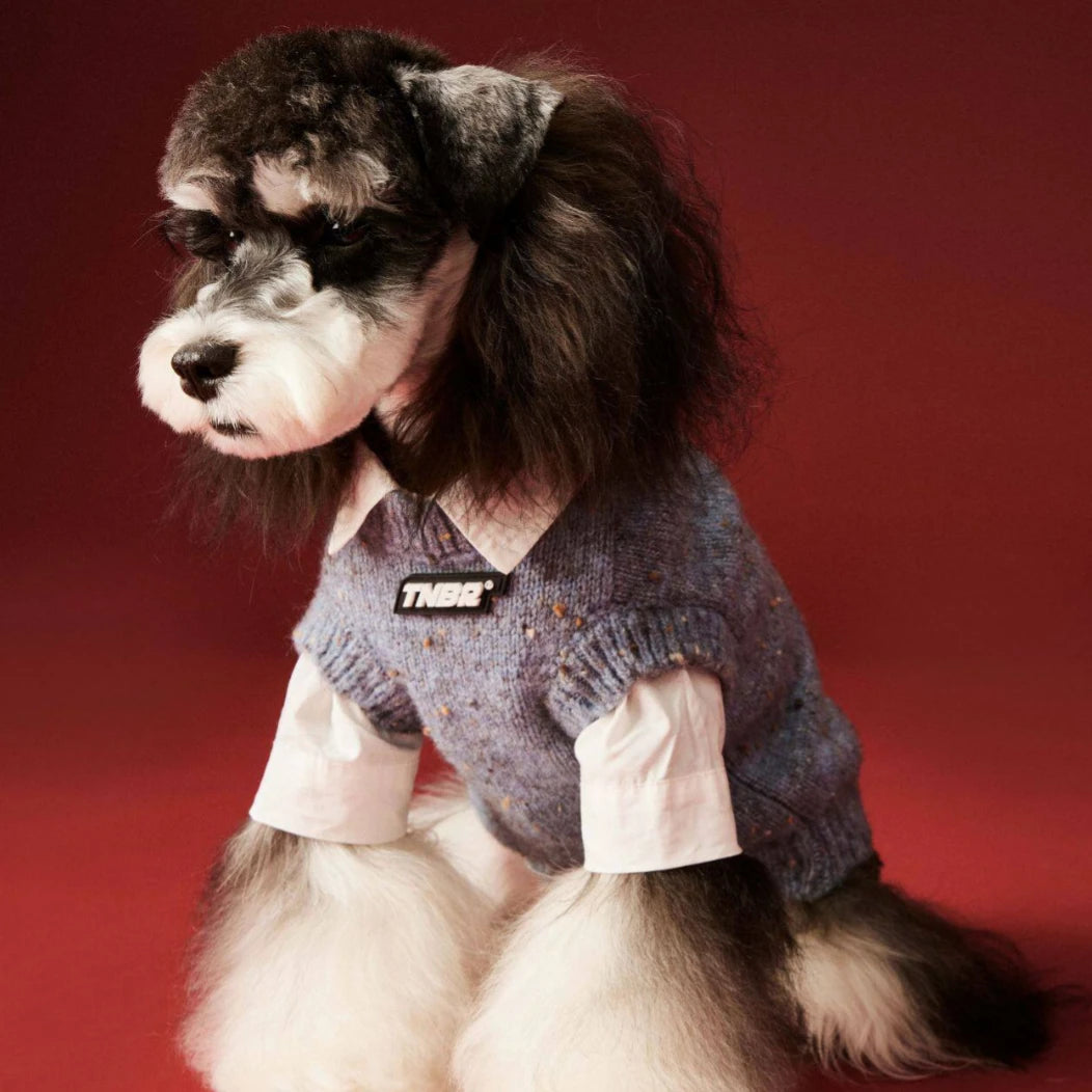 Blue Speckle Sweater Vest