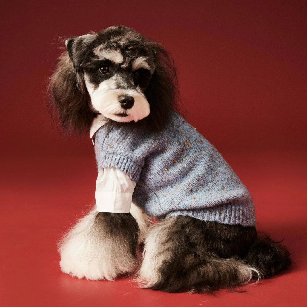 Blue Speckle Sweater Vest