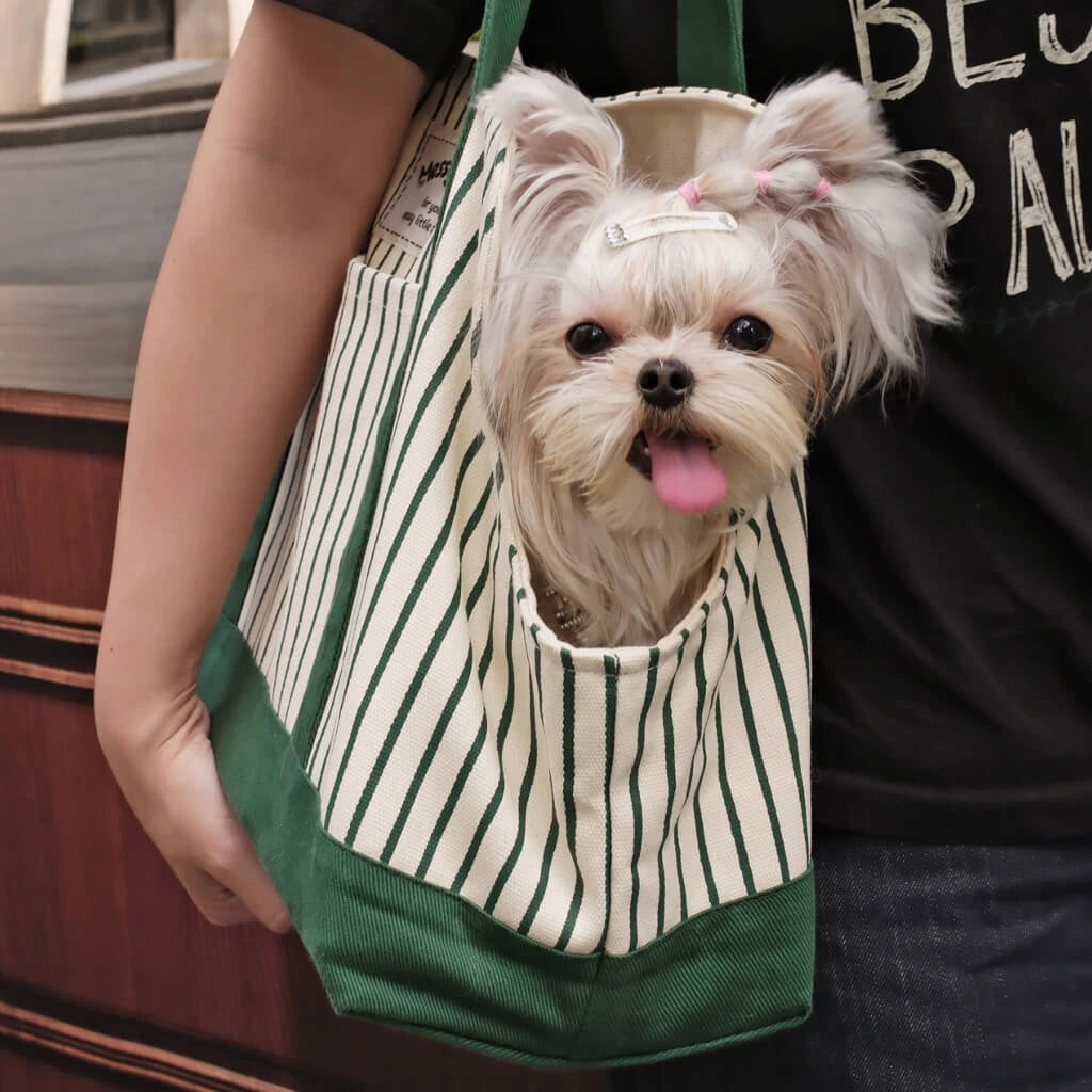 Everyday Stripe Canvas Pet Tote Carrier
