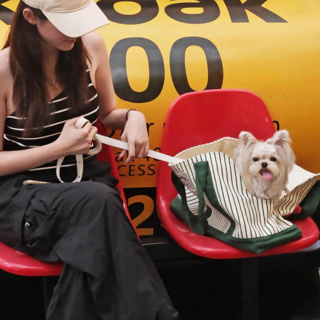 Everyday Stripe Canvas Pet Tote Carrier
