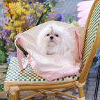 Everyday Stripe Canvas Pet Tote Carrier