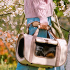 ArcTrail Structured Pet Travel Carrier