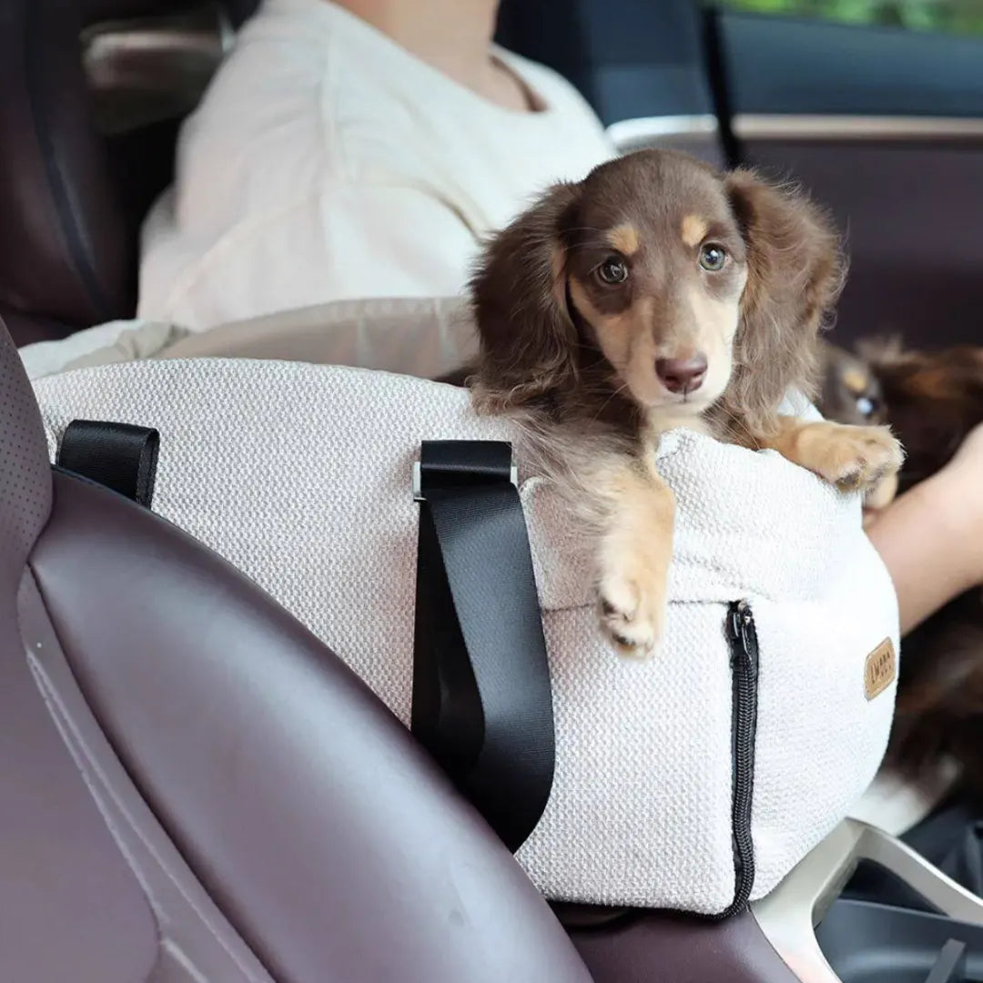 Side-by-Side Console Pet Car Seat