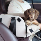 Side-by-Side Console Pet Car Seat
