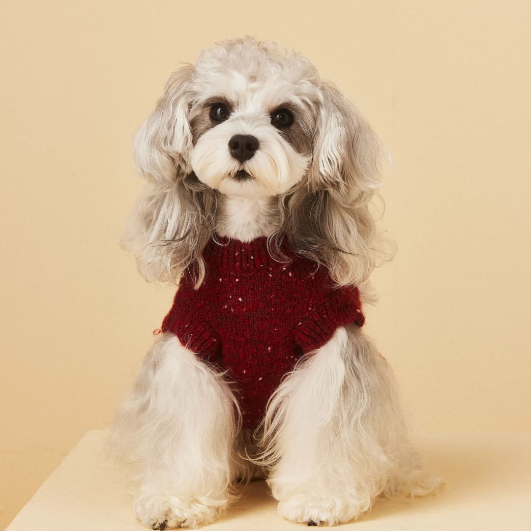 Cherry Patch Dog Sweater Vest