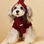 Cherry Patch Dog Sweater Vest