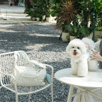 Cloud Soft Pet Sling Carrier