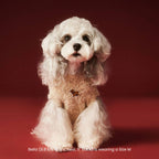 Cocoa Pup Pet Sweater