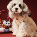 Cocoa Pup Pet Sweater