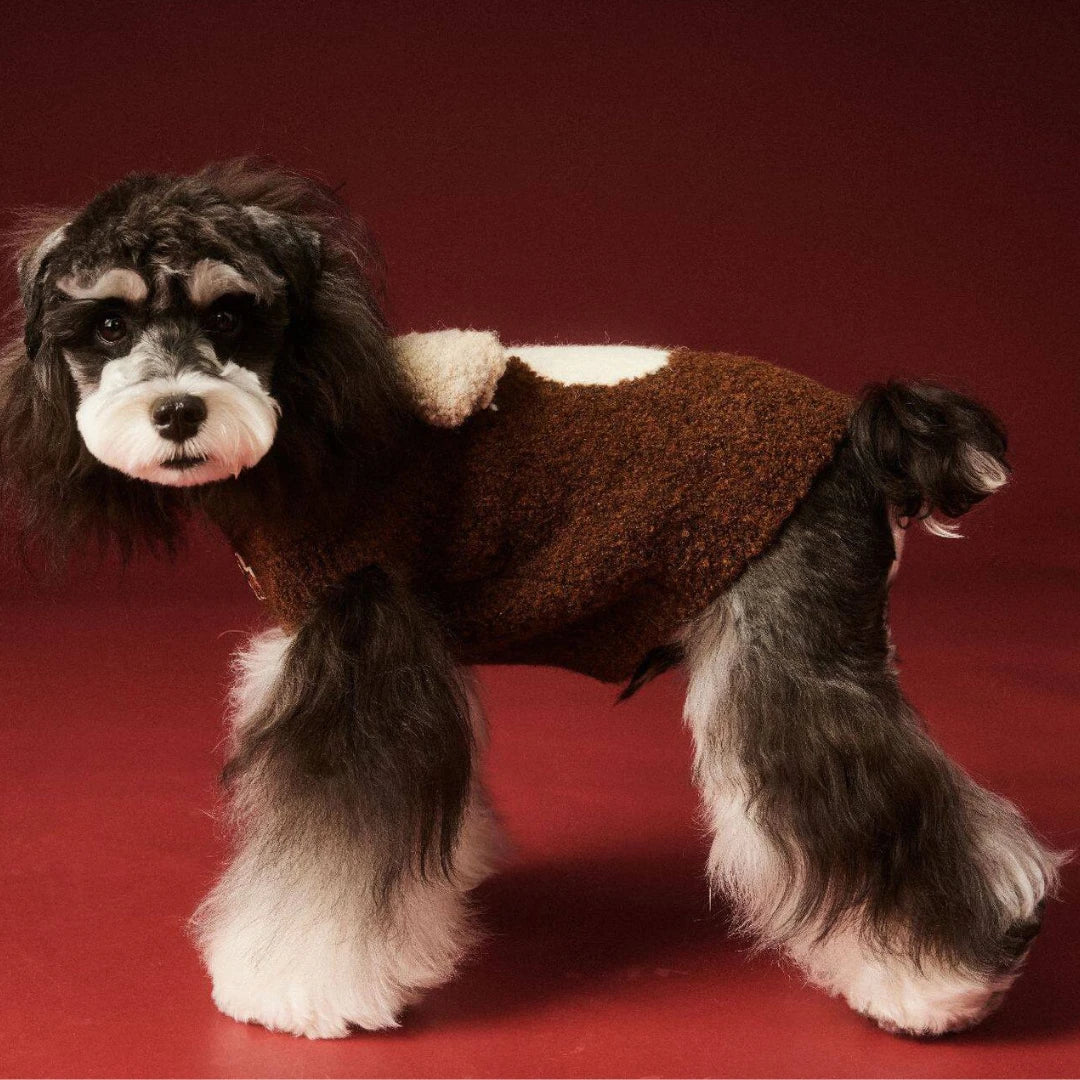 Cocoa Pup Pet Sweater