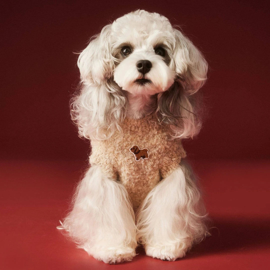 Cocoa Pup Pet Sweater