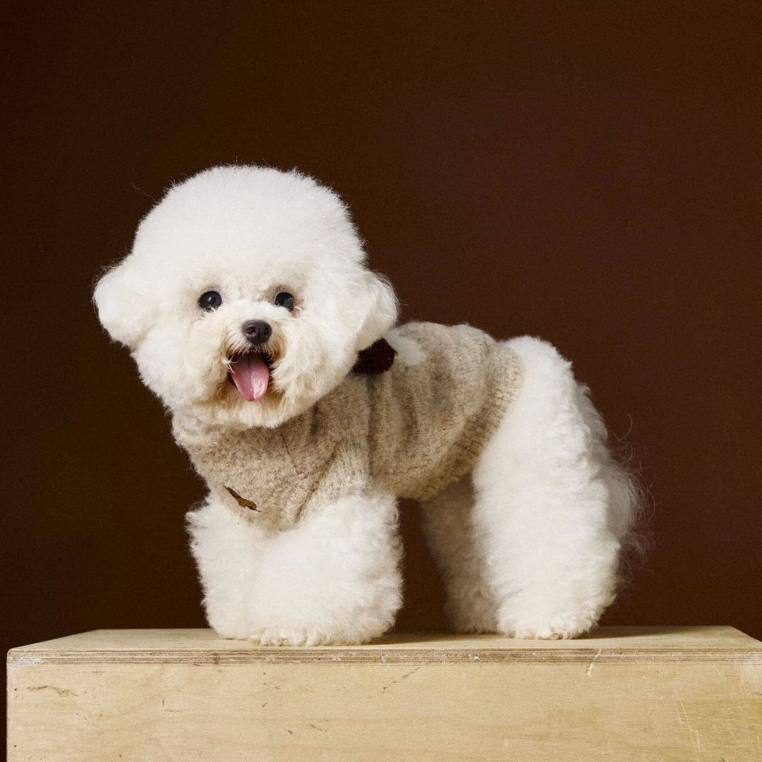 Cocoa Pup Pet Sweater