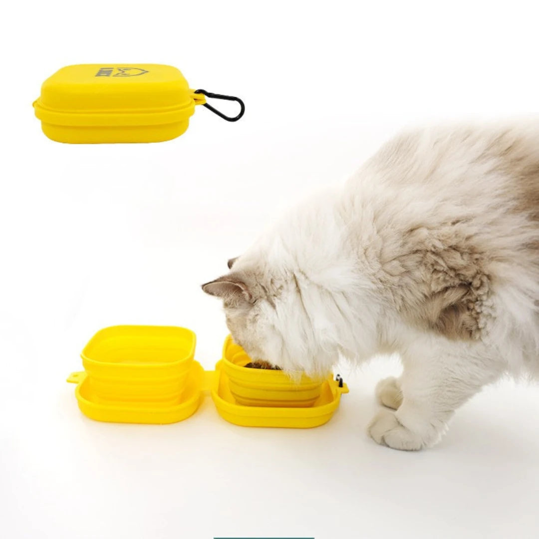 PocketRoute Collapsible Double Pet Bowl