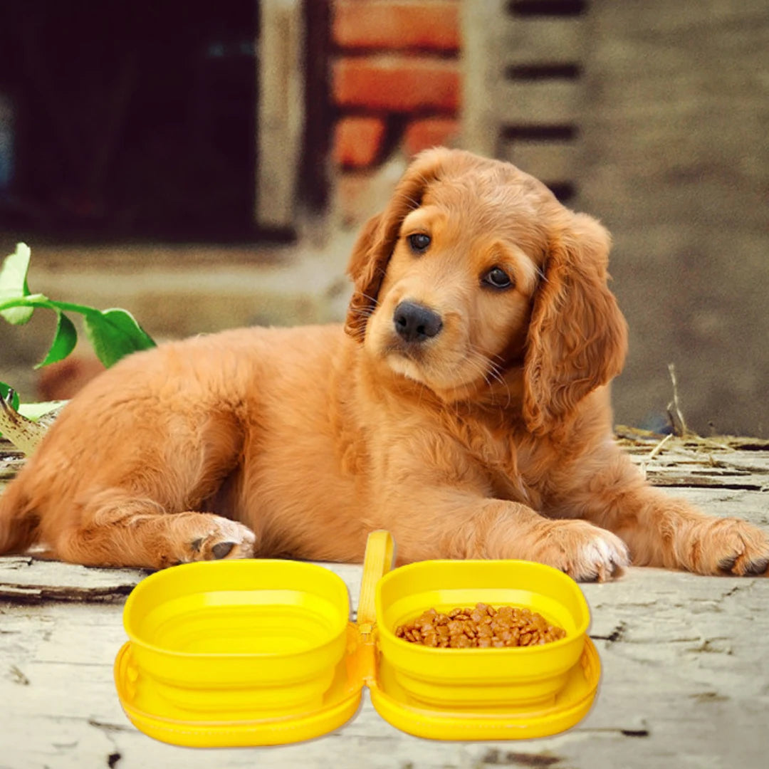 PocketRoute Collapsible Double Pet Bowl