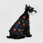 Color Dot Fleece Vest