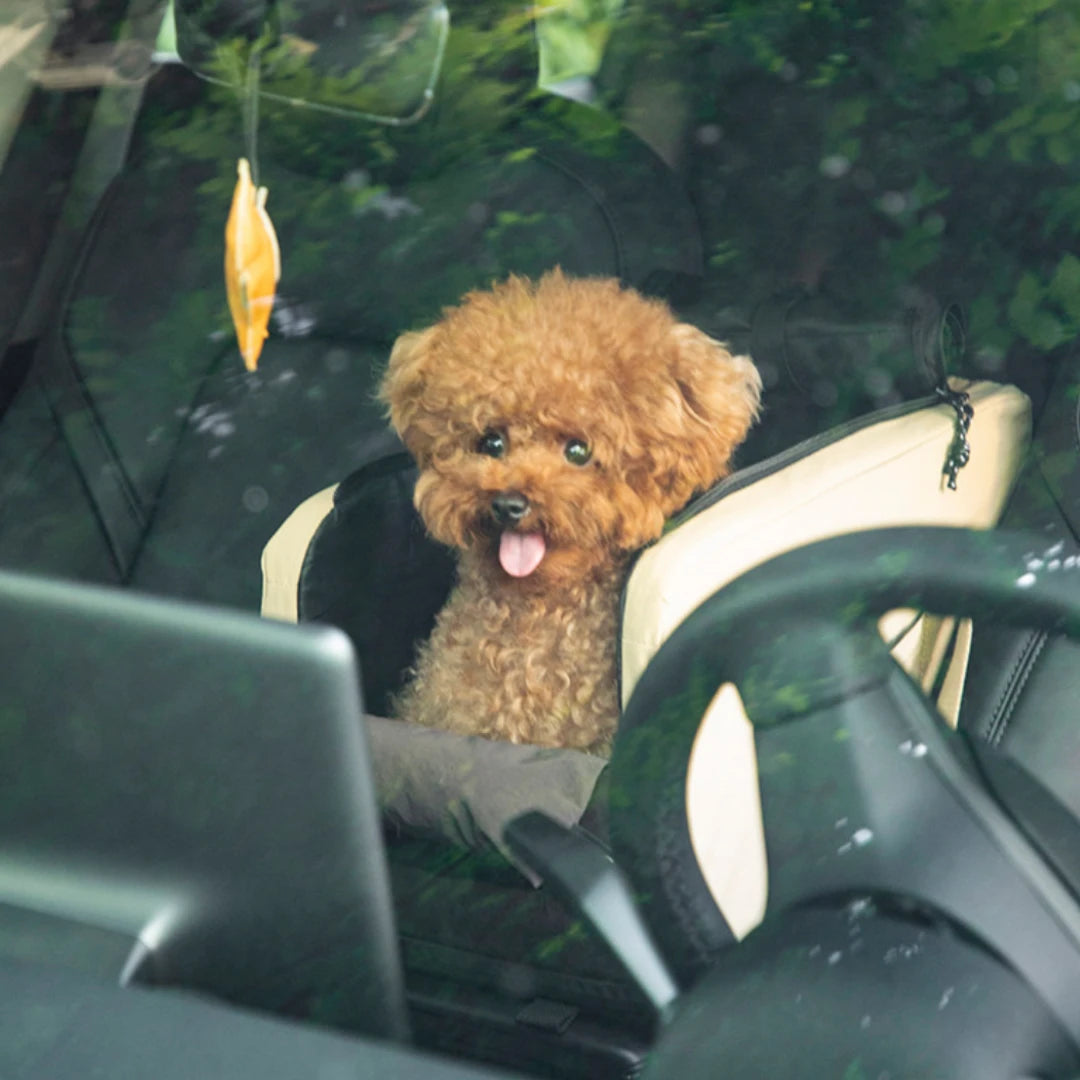 Carry-Ready Console Pet Car Seat