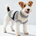 Cozy Stripe Pet Sweater Vest